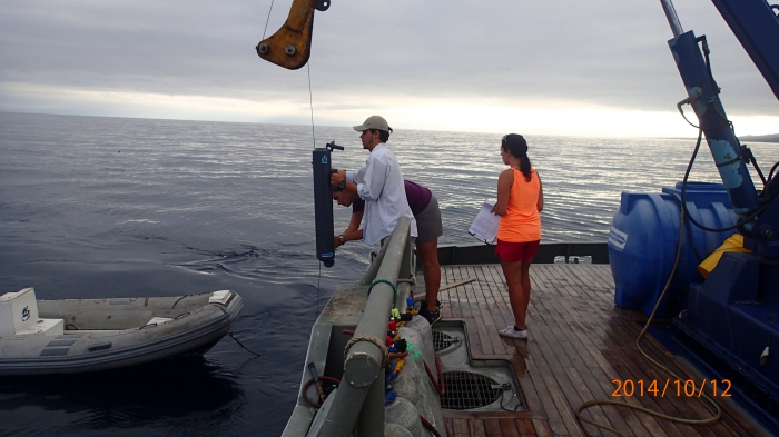 Marchetti Lab and GSC researchers sliding a large volume Niskin bottle into the ocean